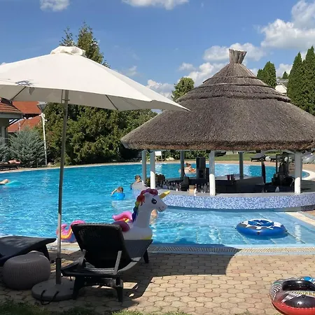 Azur Csiga Siófok